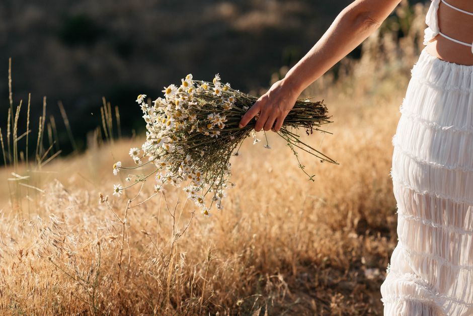 A woman in a white dress holding a bouquet of daisies in a sunlit field, evoking a serene summer vibe.