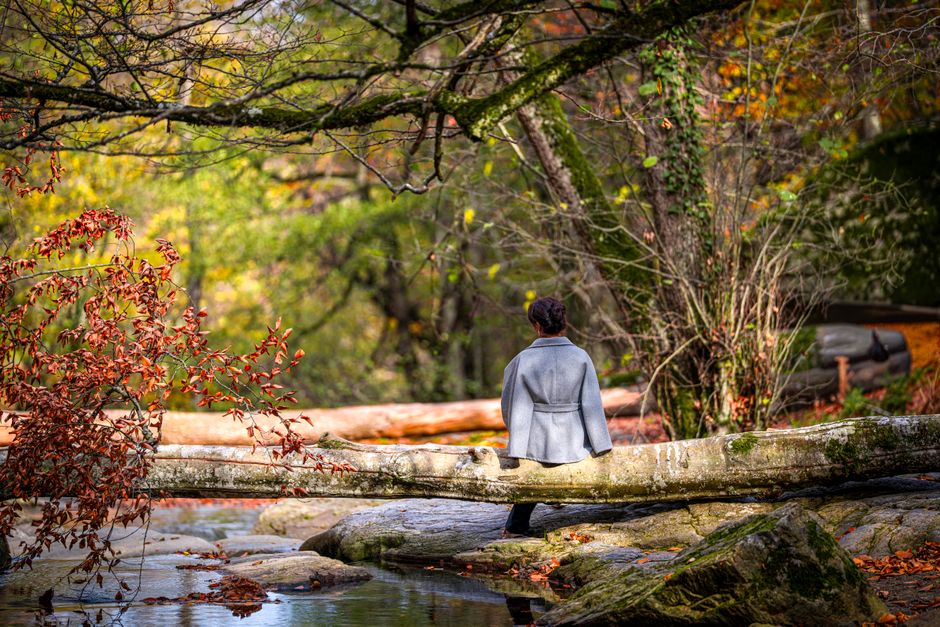 A woman in a grey coat sits on a log in a serene autumn forest, surrounded by colorful foliage.