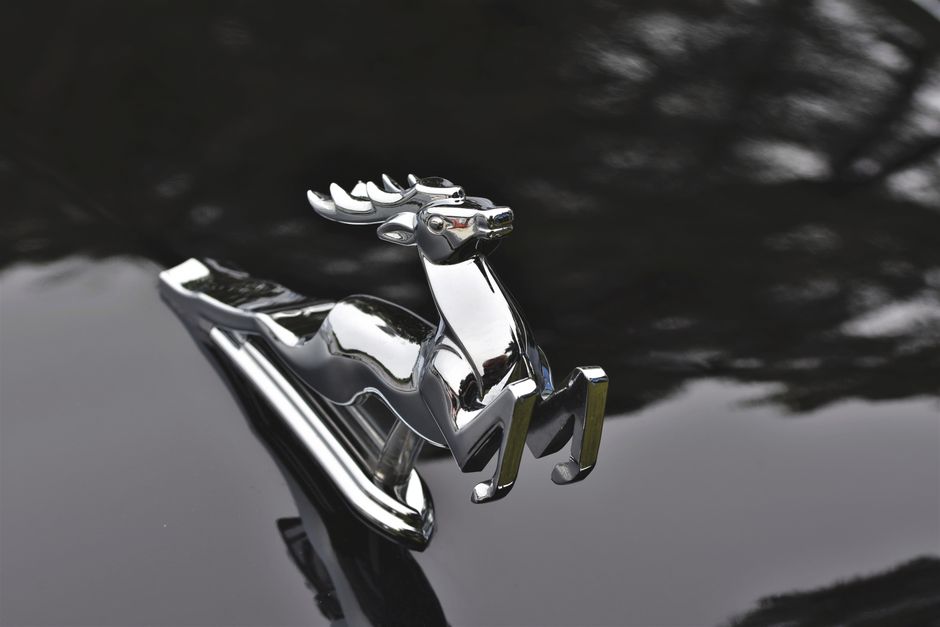 Close-up of a shiny chrome deer ornament on a vintage car hood.